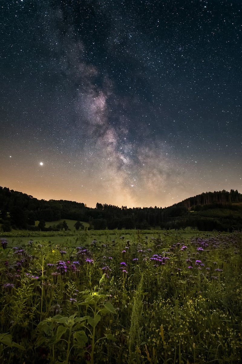 Galactic Mapping